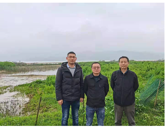 1650331617704989.png 圖片1.png